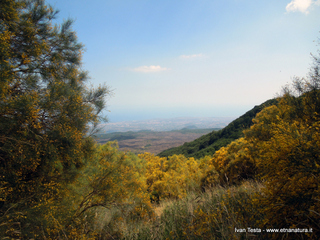 Serra_del_Salifizio - 31-07-2016 16-06-01.jpg